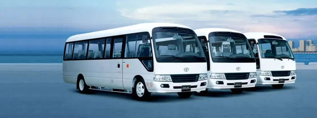 bus