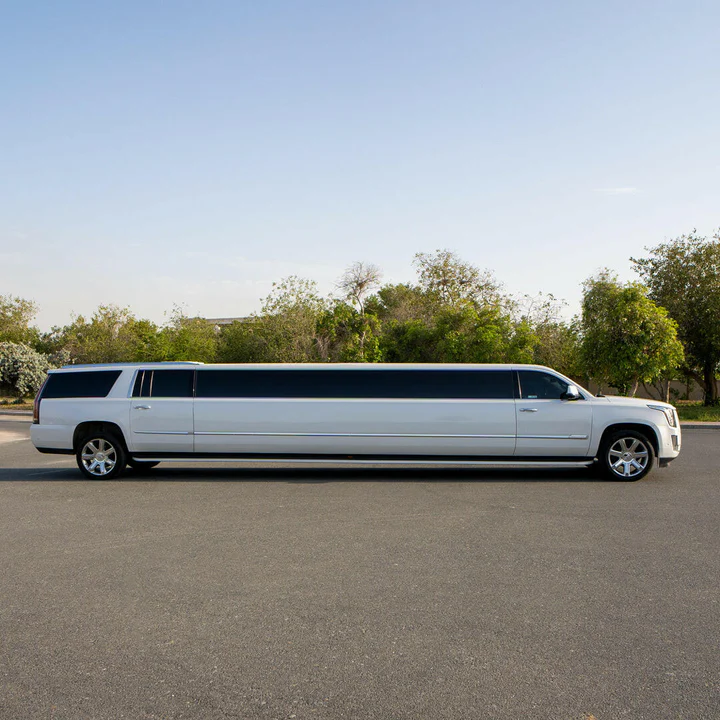 limousine bus rental